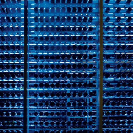 Secrets The Vine Cancun (Adults Only)-3